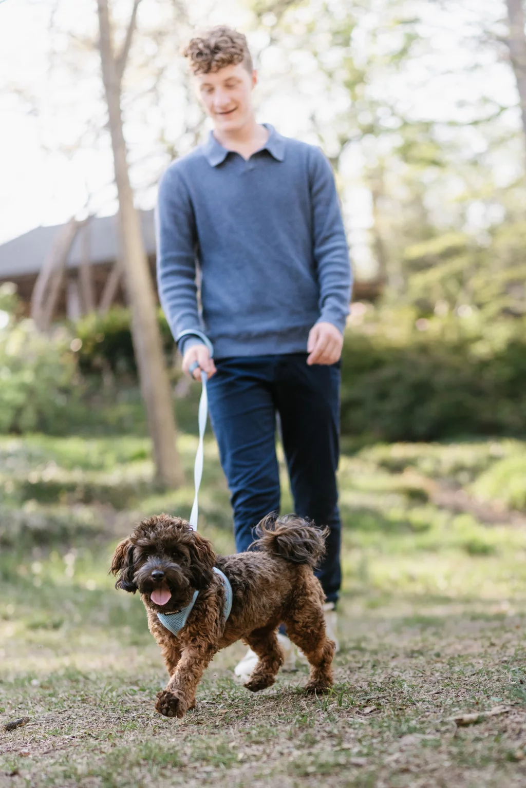 Jacobi's senior photos taken at Falls Park, Greenville SC: A young man in a blue sweater walks a small, curly-haired brown dog on a leash in a sunny, wooded outdoor area.