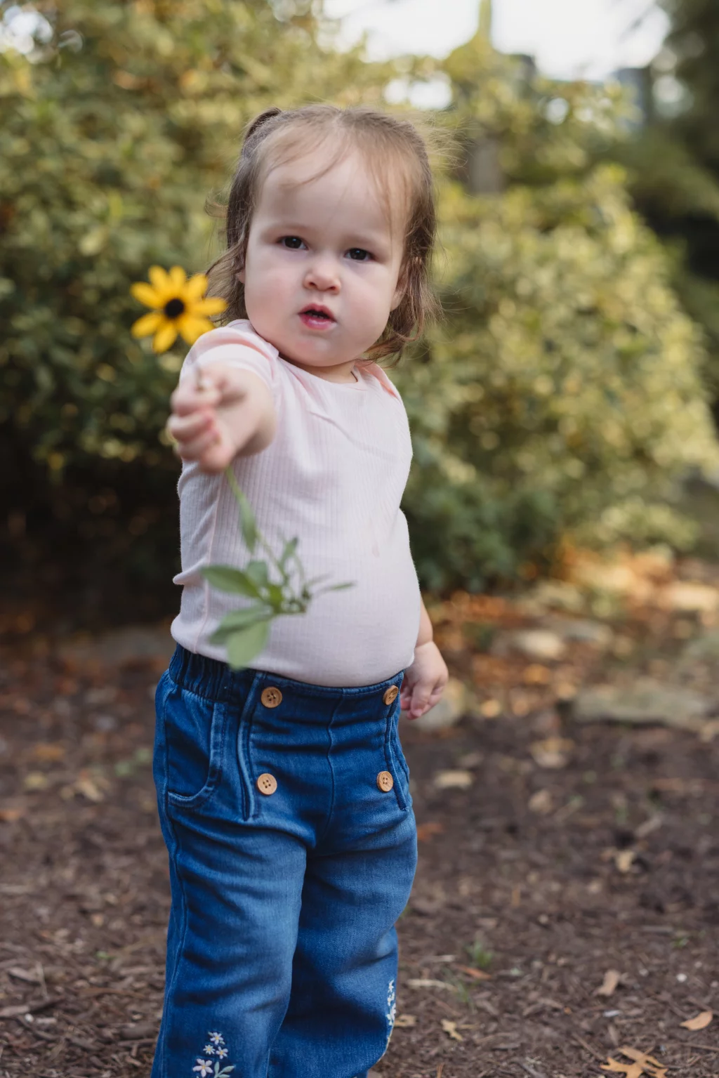 Family session at the Rock Quarry Garden.: A toddler in a pink shirt and blue pants stands outdoors, reaching toward the camera while holding a yellow flower.