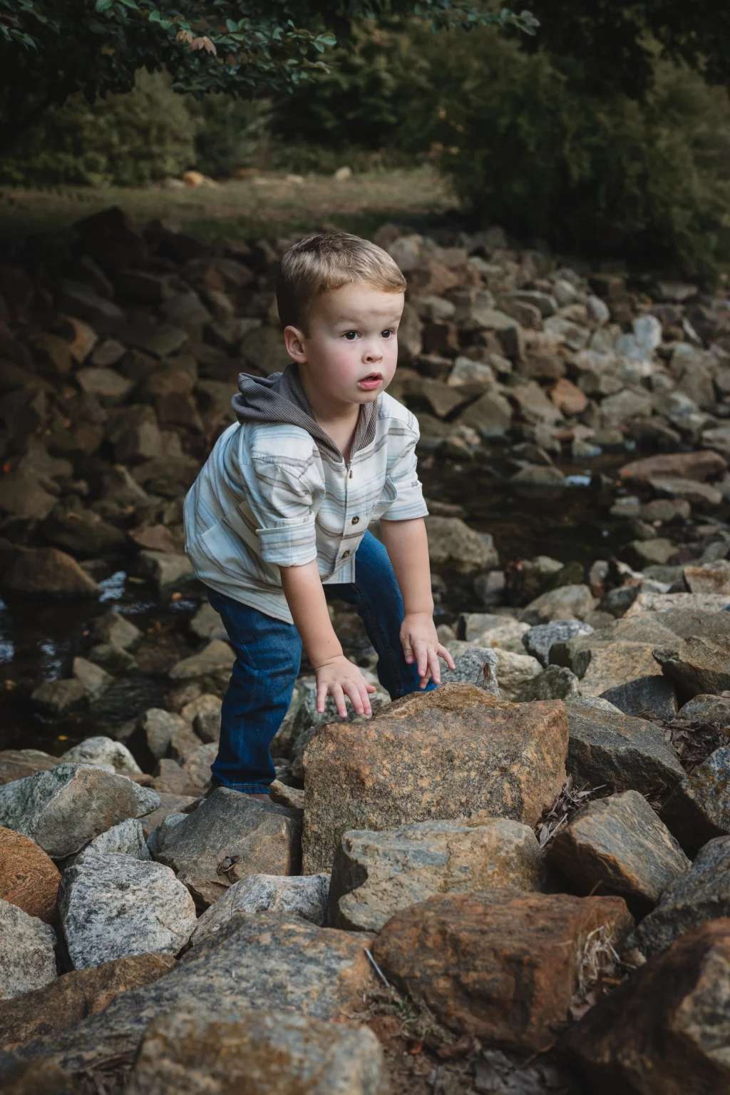 Family session at the Rock Quarry Garden.: Young boy crouching on large rocks in a shallow woodland stream, wearing a striped hoodie shirt and jeans.