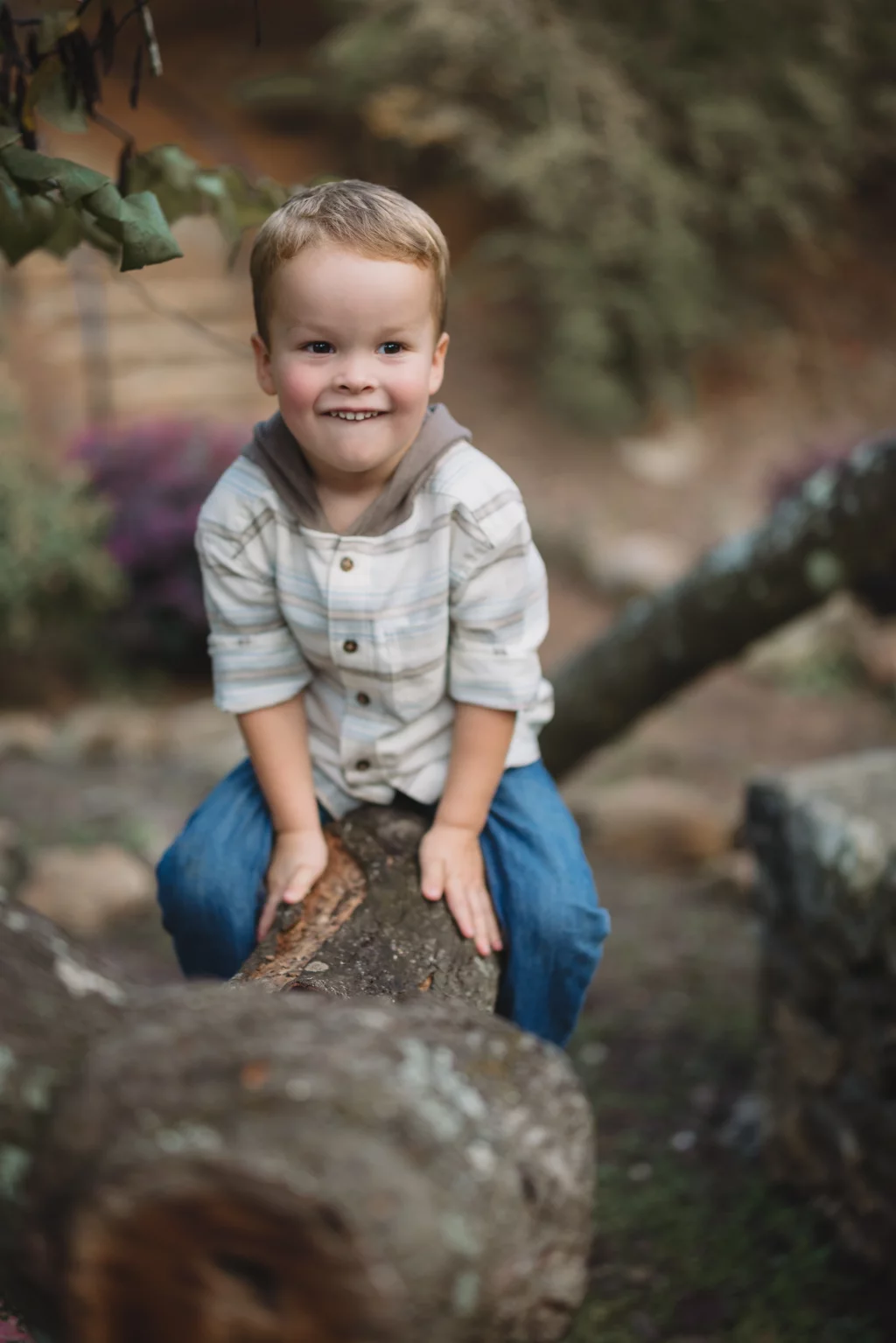 Family session at the Rock Quarry Garden.: Smiling young boy sitting on a fallen tree trunk in a wooded setting, wearing a plaid shirt and blue pants.