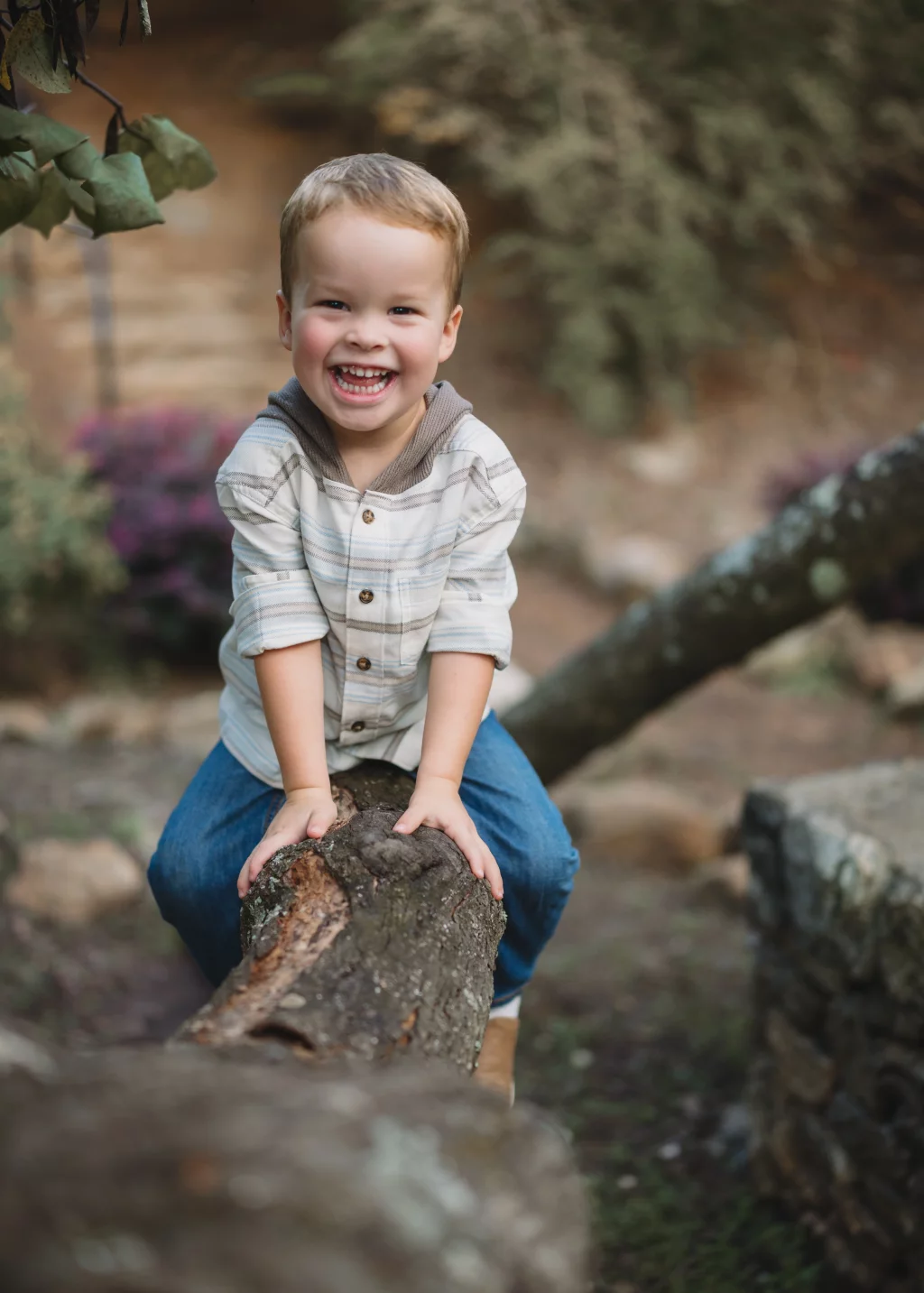 Family session at the Rock Quarry Garden.: Smiling young boy sitting on a fallen log outdoors, wearing a striped shirt and blue jeans, surrounded by blurred greenery and rocks.