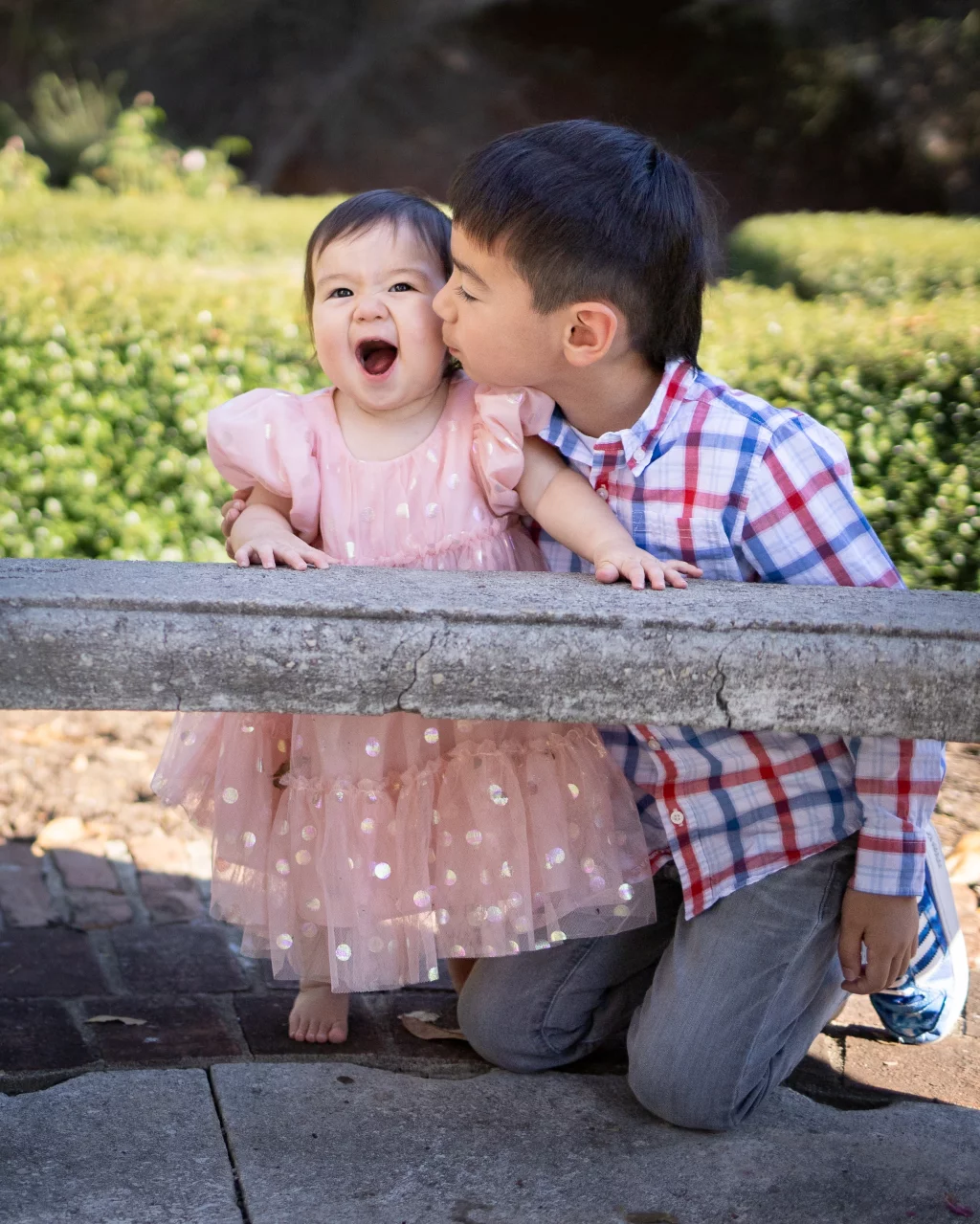 Family photos taken at Furman University / Rose Garden 